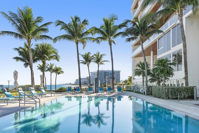 view of pool featuring a patio