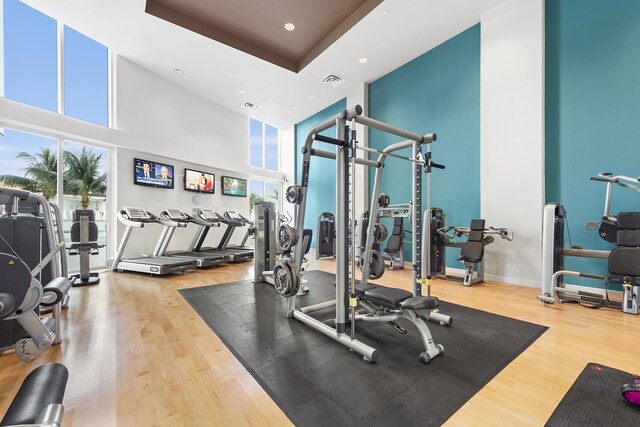 workout area with a towering ceiling, wood-type flooring, and a raised ceiling