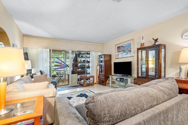 living room with a textured ceiling