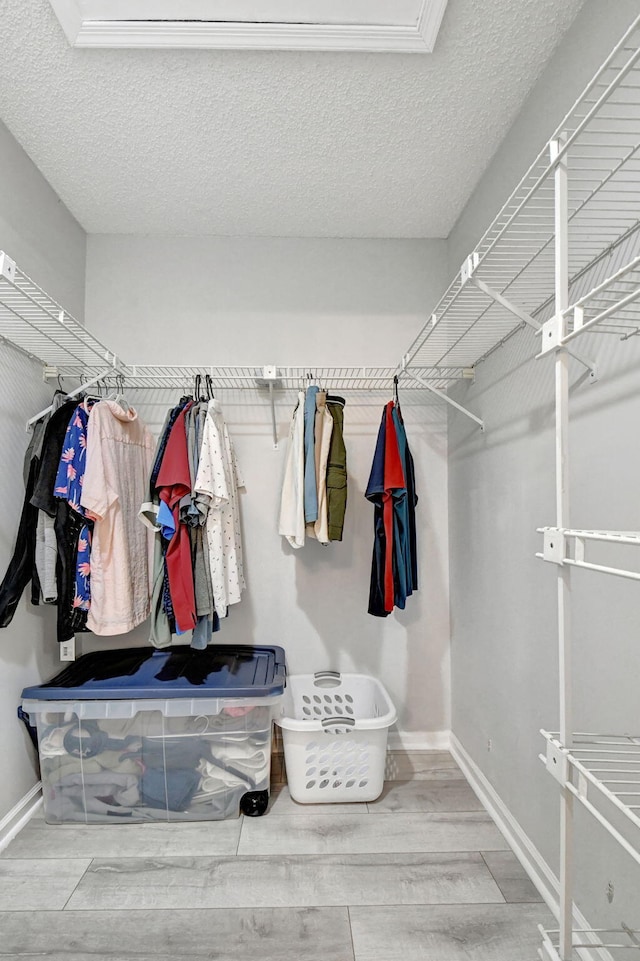 spacious closet featuring wood-type flooring