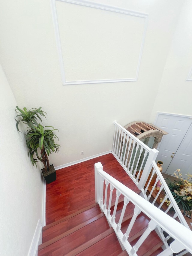 stairway with wood-type flooring