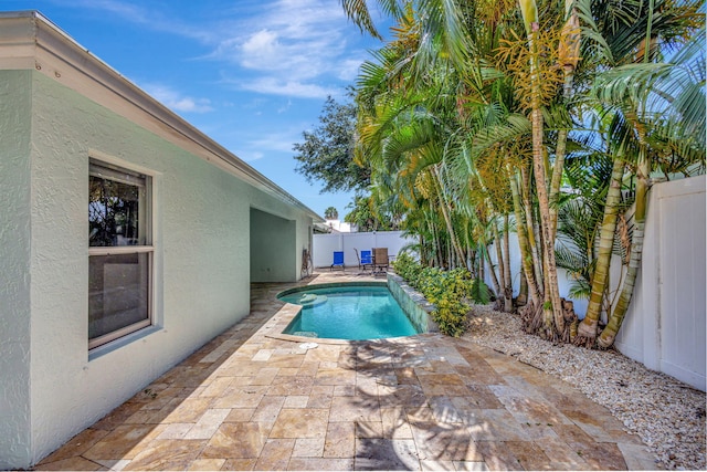 view of pool featuring a patio