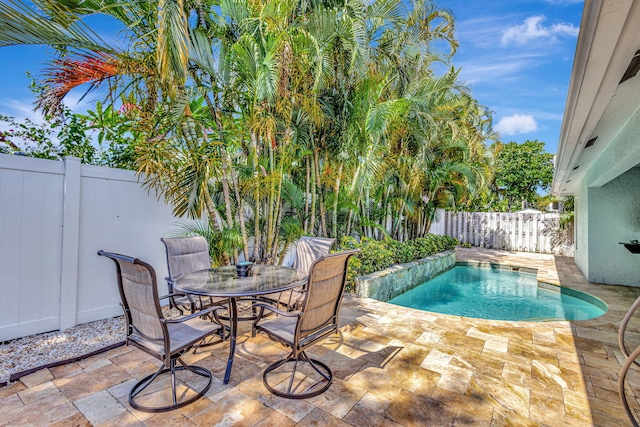 view of swimming pool featuring a patio