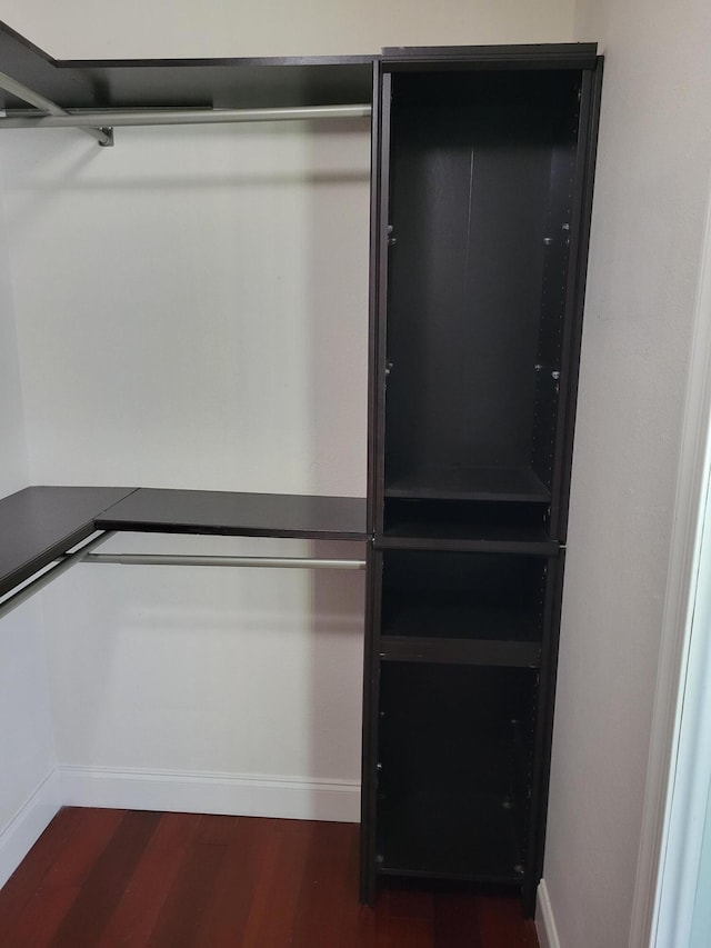 spacious closet featuring dark hardwood / wood-style flooring