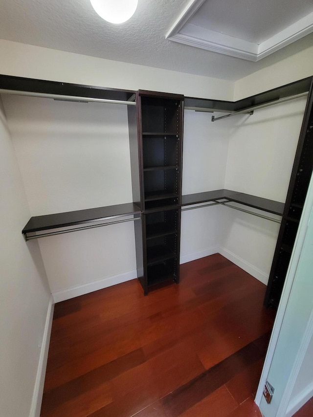 spacious closet with dark hardwood / wood-style floors