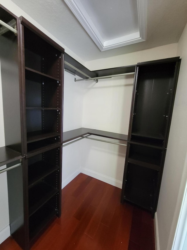 walk in closet with dark wood-type flooring