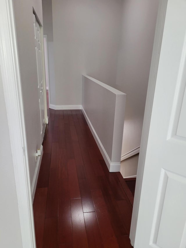 corridor featuring dark hardwood / wood-style floors