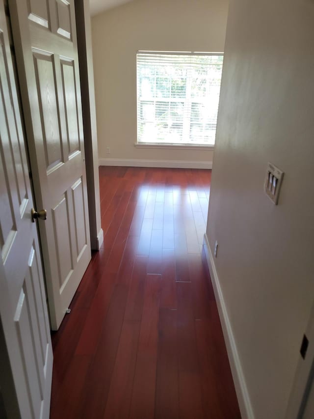 hallway featuring dark hardwood / wood-style flooring