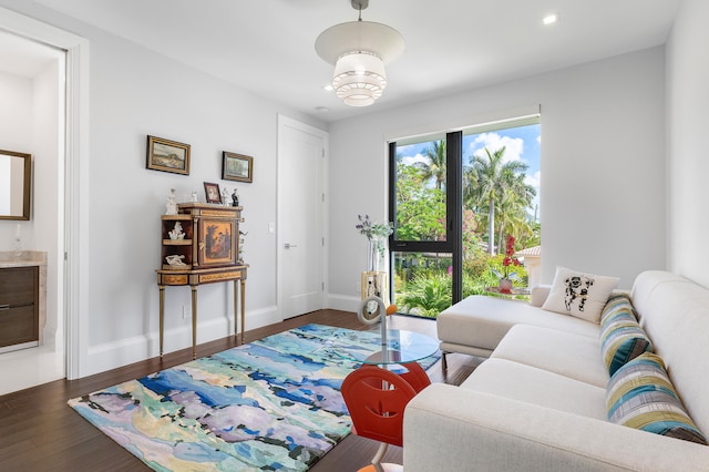 living room featuring hardwood / wood-style floors