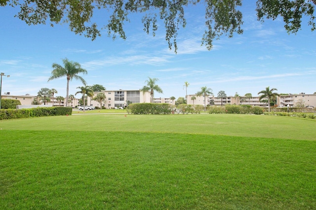 view of community with a lawn