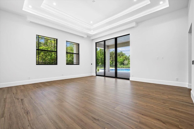 empty room featuring plenty of natural light, a tray ceiling, and dark hardwood / wood-style floors