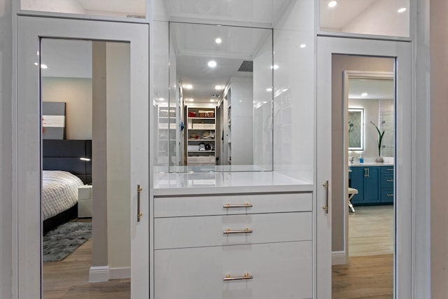 spacious closet with light wood-type flooring