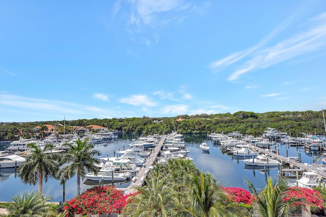 property view of water featuring a dock