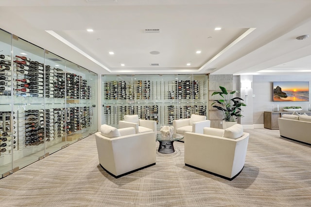 wine area featuring a raised ceiling