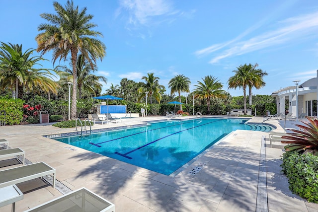 view of swimming pool with a patio