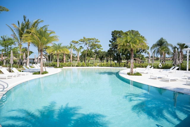 view of swimming pool with a patio area