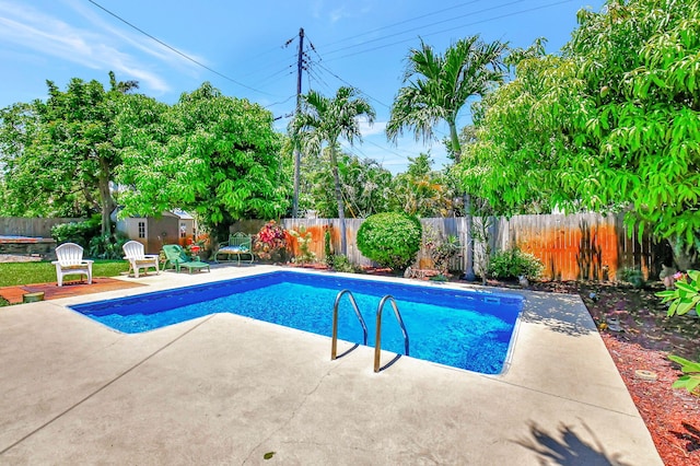 view of swimming pool featuring a storage shed and a patio