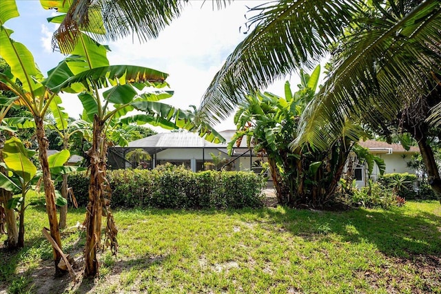 view of yard with a lanai