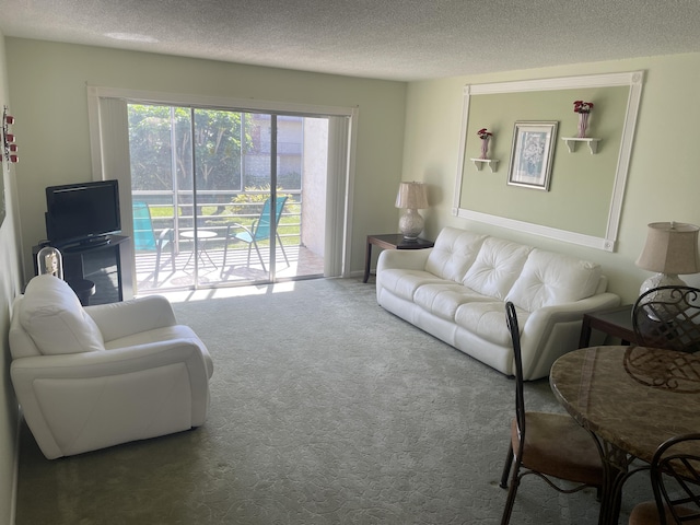 living room with a textured ceiling and carpet flooring