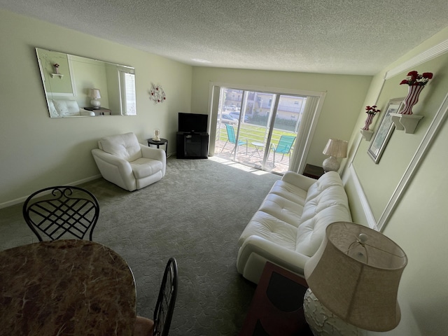 carpeted living room with a textured ceiling