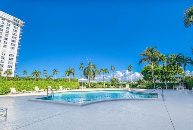 view of pool with a patio area