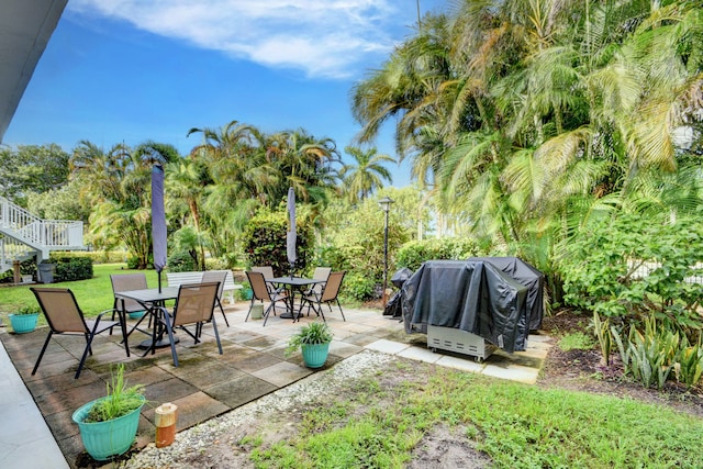 view of yard featuring a patio area