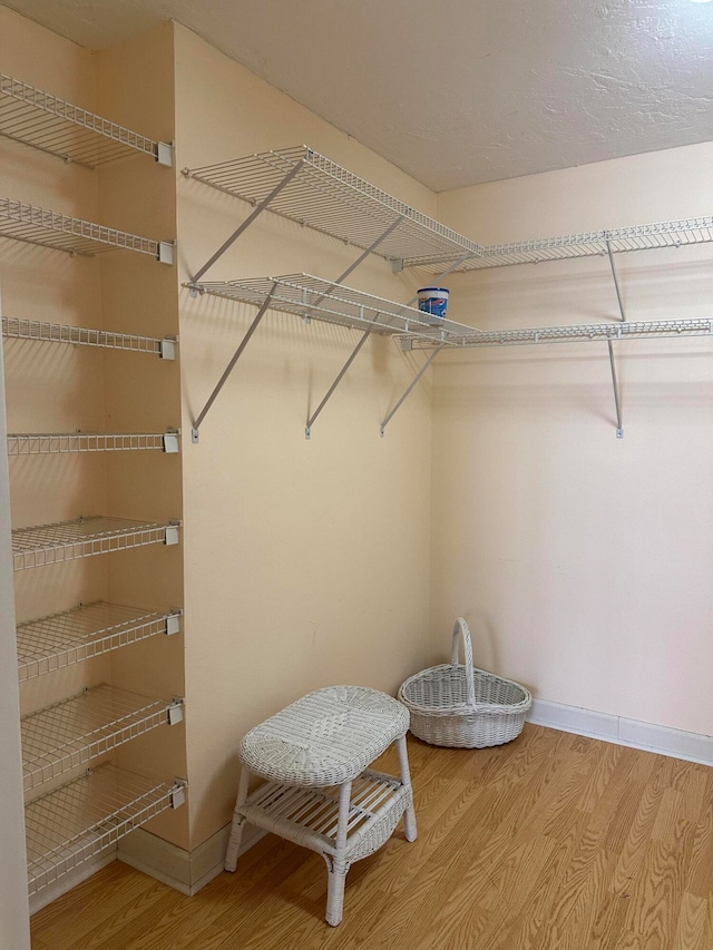 walk in closet with light hardwood / wood-style flooring