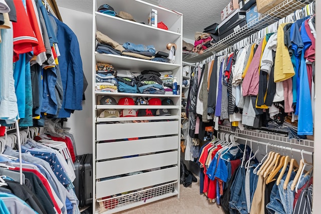 walk in closet featuring carpet flooring