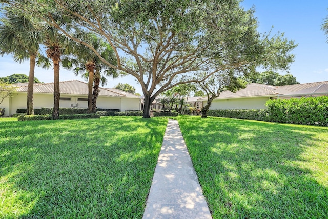 ranch-style house with a front lawn