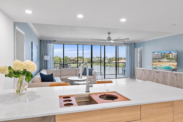 living room featuring sink, ornamental molding, and ceiling fan