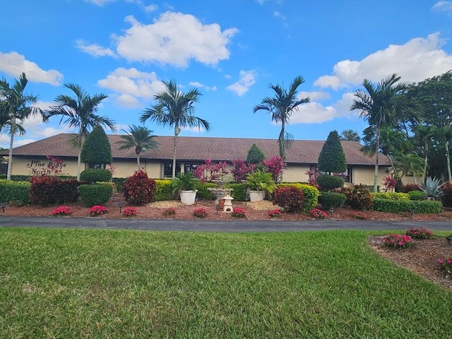 ranch-style house with a front yard