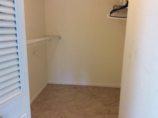 spacious closet featuring carpet flooring