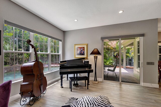 living area featuring light wood-type flooring and a wealth of natural light