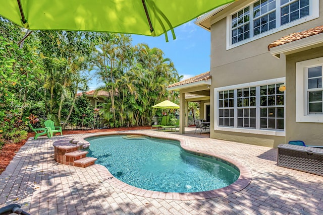 view of pool featuring a patio area