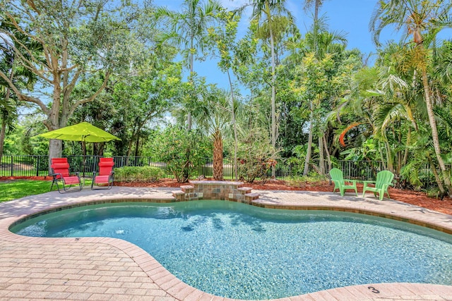 view of swimming pool featuring a patio area