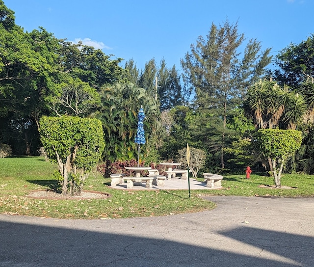 view of home's community with a yard and a patio