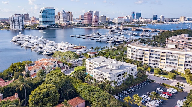 aerial view with a water view