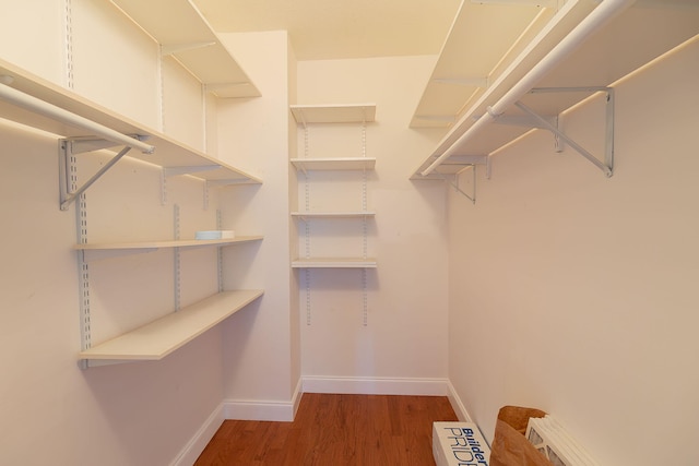 walk in closet with hardwood / wood-style floors