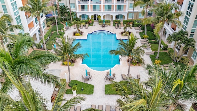 view of swimming pool with a patio area