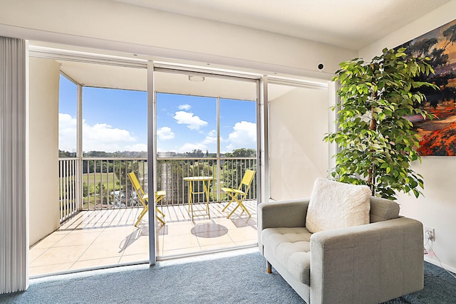 interior space with a wealth of natural light and light carpet