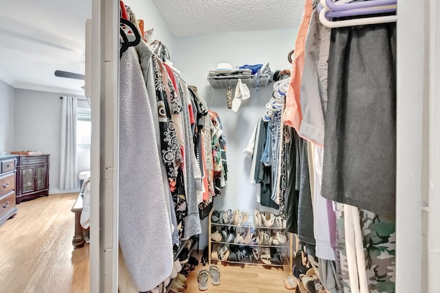 spacious closet with light hardwood / wood-style flooring