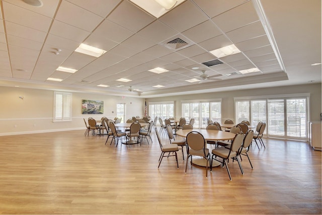 dining area with ceiling fan, a drop ceiling, a raised ceiling, and light wood-type flooring