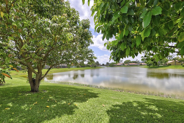 view of water feature