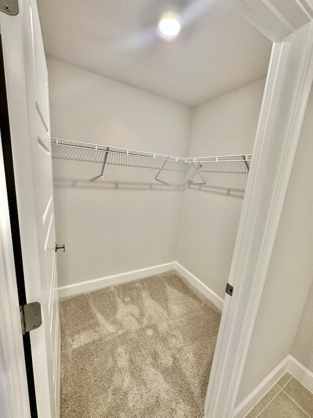 spacious closet featuring carpet