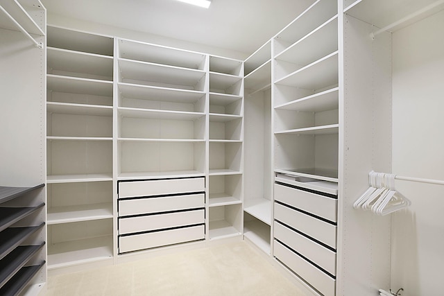 spacious closet with light colored carpet