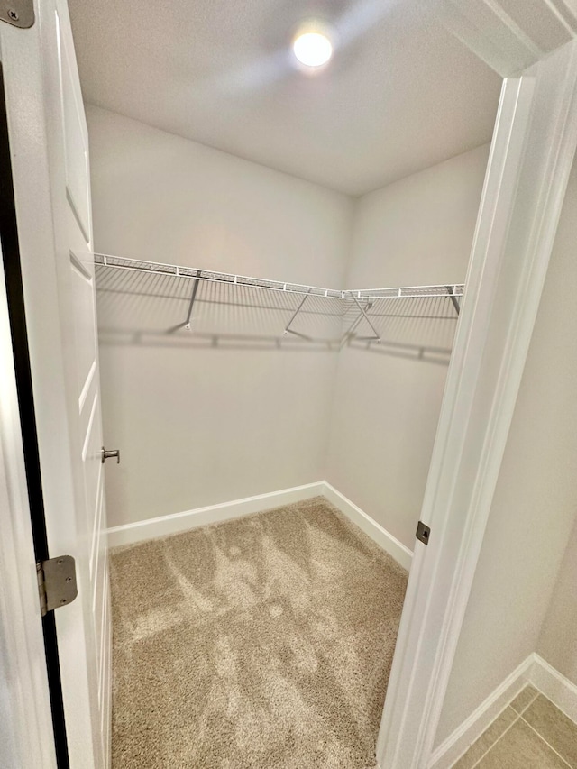 walk in closet with carpet floors