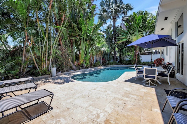 view of pool featuring a patio area