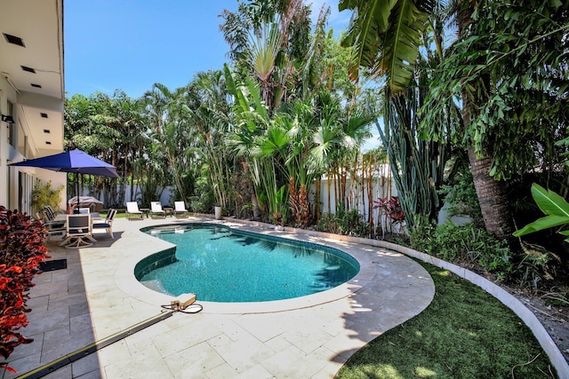 view of swimming pool featuring a patio area