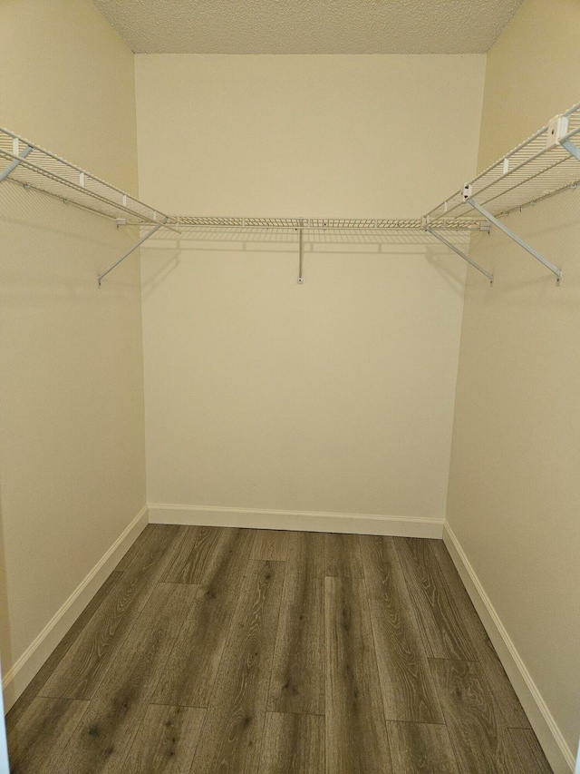 spacious closet featuring dark hardwood / wood-style floors