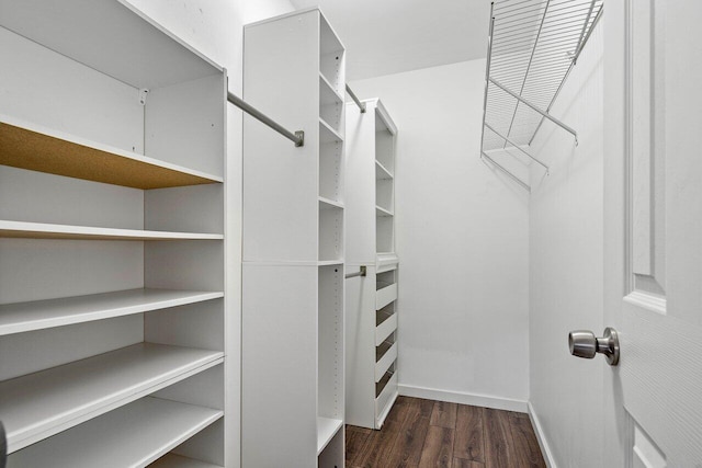 spacious closet with dark hardwood / wood-style floors